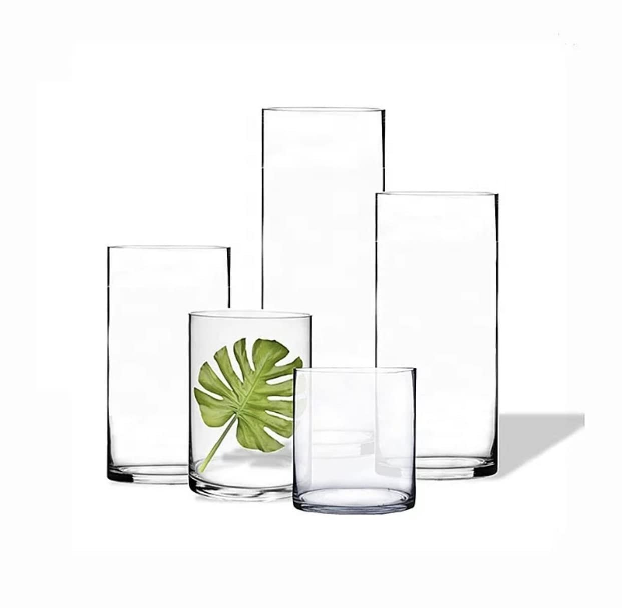 Graduated Clear Glass Cylinder Vases – Set of 5