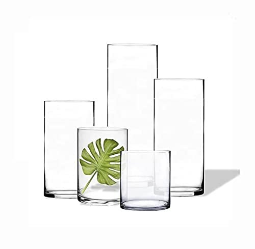 Mado gallery Cylinder GlassVases Set of 5 Decorative Centerpieces for Home or Wedding, Bulk Cylinder Flower & Plant Vases, Candle Holders for Home Decoration and Wedding Centerpieces