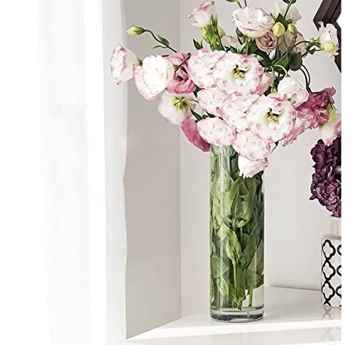 Mado gallery Cylinder GlassVases Set of 5 Decorative Centerpieces for Home or Wedding, Bulk Cylinder Flower & Plant Vases, Candle Holders for Home Decoration and Wedding Centerpieces