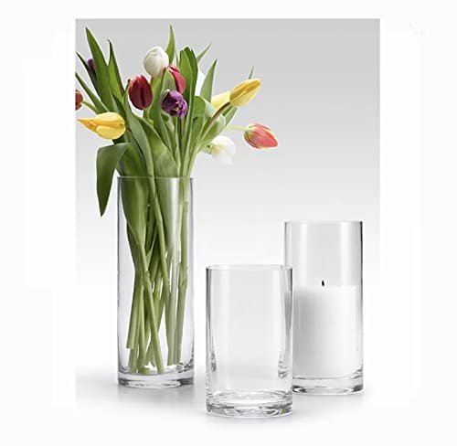 Mado gallery Glass Cylinder Vases Set of 3 Decorative Centerpieces for Home or Wedding, Bulk Cylinder Flower & Plant Vases, Candle Holders for Home Decoration and Wedding Centerpieces