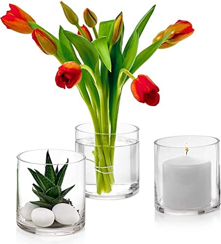 Mado gallery Glass Cylinder Vases Set of 12 Decorative Centerpieces for Home or Wedding, Bulk Cylinder Flower & Plant Vases, Candle Holders for Home Decoration and Wedding Centerpieces