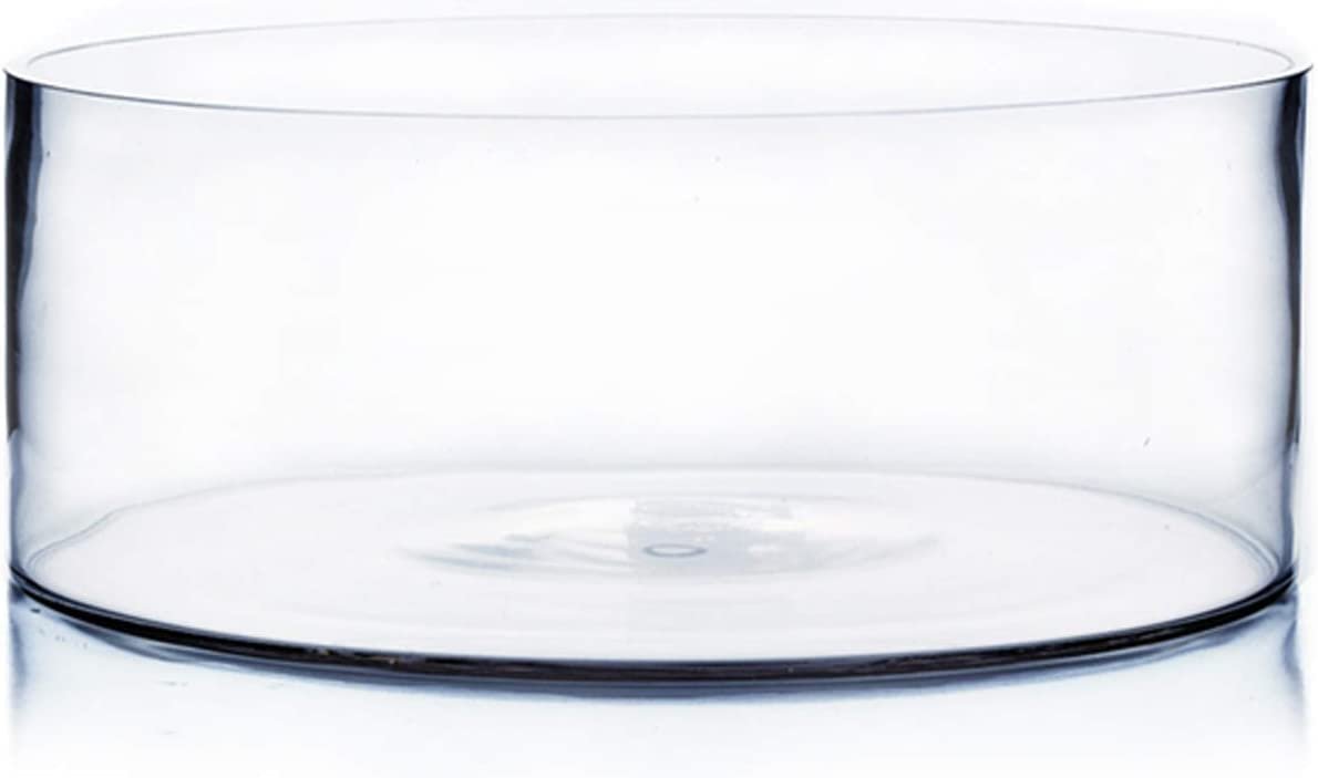Mado gallery Glass Cylinder Vase, Decorative Centerpieces, for Flower Arrangement, Home & Wedding Decoration