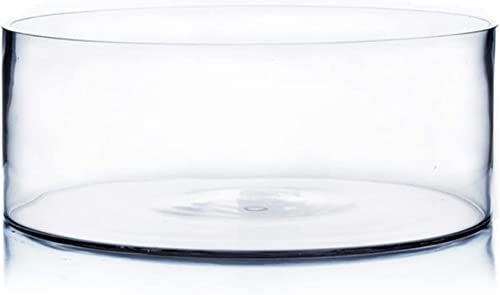 Mado gallery Glass Cylinder Vase, Decorative Centerpieces, for Flower Arrangement, Home & Wedding Decoration
