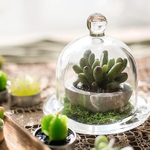 Clear Glass Dome Serving Dish – 9.5 or 12.5 cm