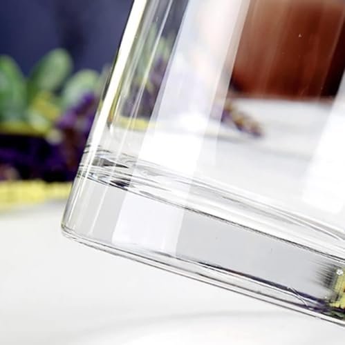 Mado Gallery Glass Cylinder Vases Set of 4 | Clear Flower & Candle Holders for Home, Events & Weddings | Floating & Pillar Candles Compatible