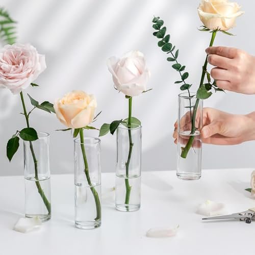 Mado Gallery Clear Cylinder Glass Vase, Single Size (5×20CM, 5×25CM, 5×30CM) – Tall Vase for Flowers, Floating or Pillar Candles, Ideal for Home & Wedding Decor (Box Of 1 Piece, 5 CM (D) x 20 CM (H))
